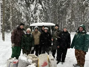 Учащиеся Ковернинской средней школы №2, члены школьного лесничества «Зелёная планета», приняли участие в сборе шишек.